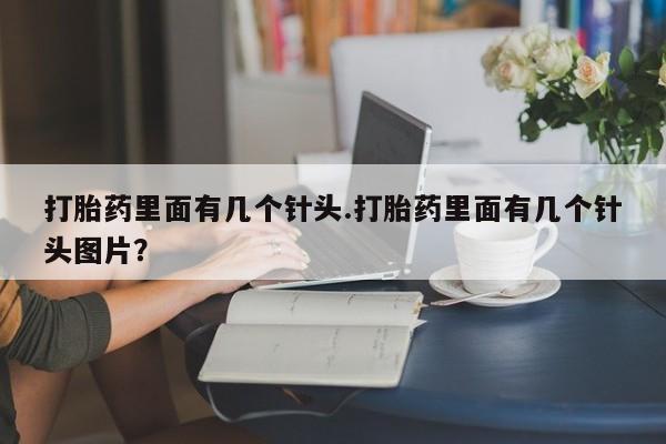 我想在网上买正品打胎药打胎药里面有几个针头.打胎药里面有几个针头图片？