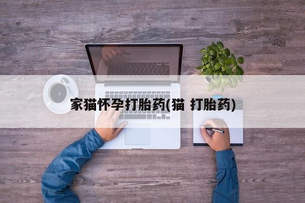我想在网上买正品打胎药家猫怀孕打胎药(猫 打胎药)